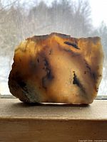 Front lit view showing translucency and internal banding of agate slice