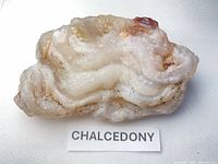Top view of chalcedony nodule showing banded surface