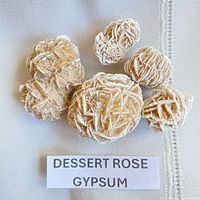 Five desert rose gypsum clusters on fabric background