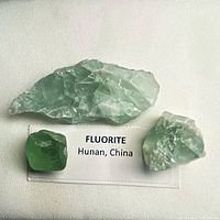 Three green fluorite pieces with label