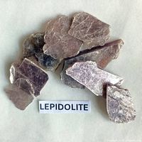 Group of lepidolite fragments labeled