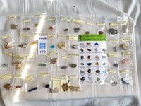 Full view of all 32 bagged, labelled specimens laid out