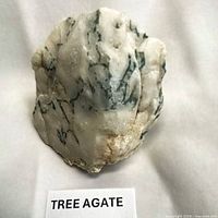 Front view of tree agate showing dendritic pattern
