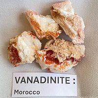 Four vanadinite pieces labeled