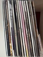 Spines of 16 sleeved LPs lined upright in shelf