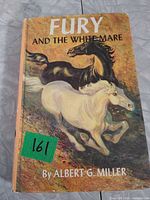 Front cover of Fury And The White Mare hardcover book