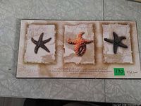 Front view showing three starfish design and printed text