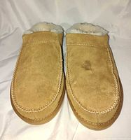Both slippers top view showing overall condition and stain