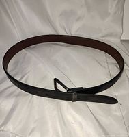 Full view of belt in oval shape showing black exterior and buckle