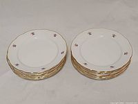 Two stacks showing all 12 plates