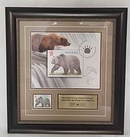 Front view of framed Canadian $8 Grizzly Bear stamp display