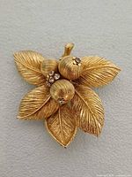 Front view of Coro gold tone leaf and berry brooch