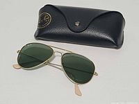 Front view sunglasses and case