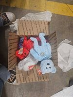Open box showing multiple Ty Beanie Babies including red cardinal, grey koala, blue bear