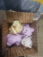 Box containing several Ty small plush bears