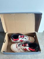 Both shoes inside original blue box showing colorway and overall condition