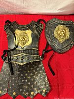 Front view of breastplate and shield
