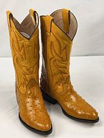 Full view of both boots standing upright showing color, shaft embroidery and overall condition