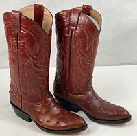 Full view of both boots showing color, embroidery, overall condition