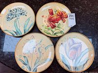 All four floral plates displayed