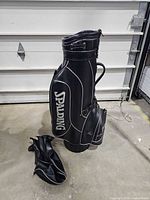 Full view of black Spalding cart bag and detached hood