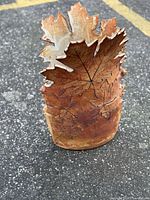 Front view of large ceramic maple leaf vase