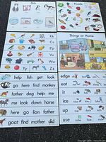 Nine posters laid out showing Pets, Foods, Things at Home, alphabet letters and six word-strip boards
