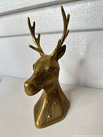 Front angled view of brass deer head bust with antlers