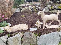 Standing buck, seated fawn, recumbent doe in garden setting