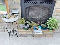 Wide view of plant stand with cactus bowl, assorted potted plants and plaque