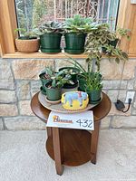 Group view: side table with potted plants and lazy Susan