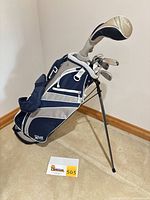 Full view of stand bag with clubs inserted showing overall condition