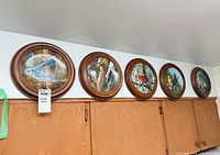 Five framed bird plates displayed in a row