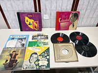 Group shot of all records laid on table