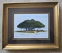 Framed print showing Banyan tree image, mat and frame visible