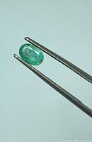 Oval emerald held by tweezers, showing faceted cut and clarity
