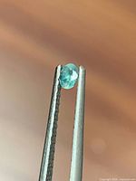 Loose oval alexandrite held in tweezers showing faceting and colour
