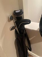 All clubs placed in carry bag showing heads and headcovers