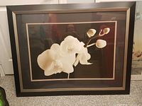 Full view of framed orchid picture showing frame, mat and print