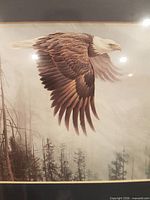 Close-up of bald eagle image portion of the print