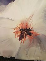 close-up of flower center showing texture