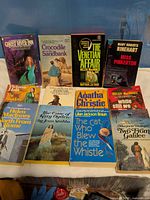 Front covers of twelve paperbacks laid out 4×3, showing titles and authors