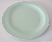 Top view of mint green melamine plate