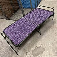 Bed fully opened showing frame, webbing surface