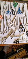 overview of all 22 scissors arranged on white board with toolbox below