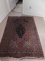 Full view of the rug lying flat showing overall pattern and fringe