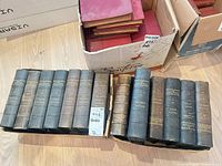 Two boxes containing fifteen cloth-bound Dictionary of National Biography volumes, plus visible wear