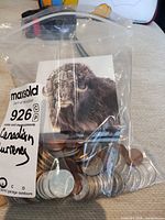 Bag of assorted Canadian coins with $100 coin box visible