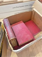 Box of red cloth George Meredith books