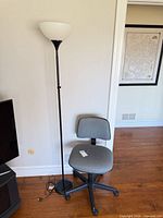 Office chair and floor lamp together for scale and overview